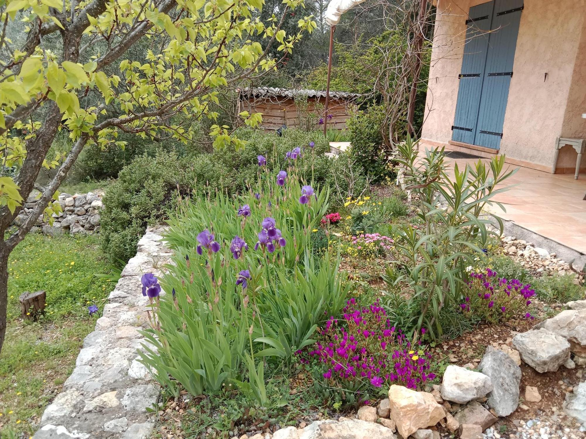 La Farigoulette Bed and Breakfast Lorgues Εξωτερικό φωτογραφία